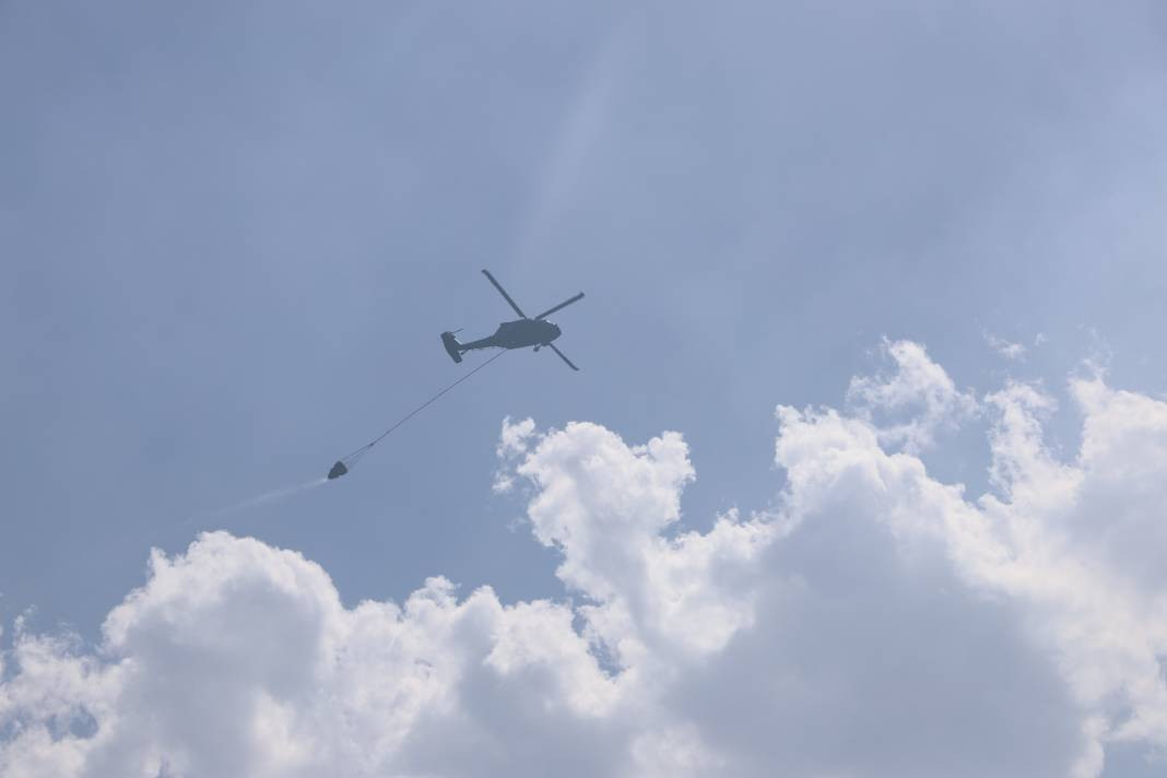 Elazığ'da orman yangını - Resim: 10